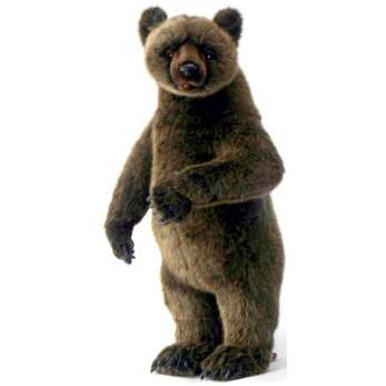 Life-size and realistic plush animals.  0201 - GRIZZLY BEAR CUB STANDG UP ON 2FT