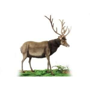 Life-size and realistic plush animals.  0270 - MALE DEER EXL 83"H X 79"L