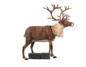 Life-size and realistic plush animals.  0616 - REINDEER NORDIC TALK/SING