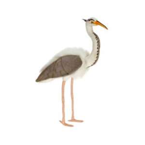 Life-size and realistic plush animals.  3231 - HERON GREAT BLUE 28''