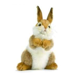 Life-size and realistic plush animals.  3316 - BUNNY