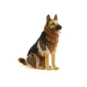 Life-size and realistic plush animals.  3791 - GERMAN SHEPHERD SEATED 34"H