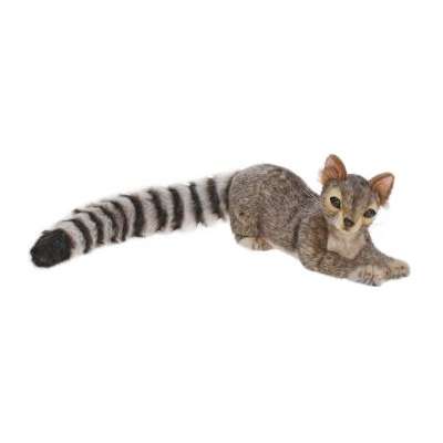 Life-size and realistic plush animals.  4009 - RINGTAIL 16''L