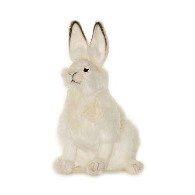 Life-size and realistic plush animals.  4075 - HARE
