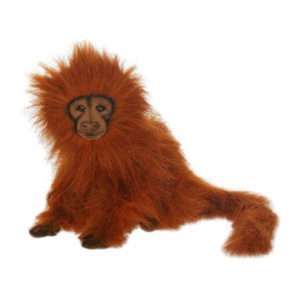 Life-size and realistic plush animals.  4337 - GOLDEN LION TAMARN 12''