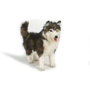 Life-size and realistic plush animals.  4824 - HUSKY DOG 14''