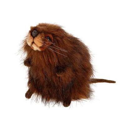 Life-size and realistic plush animals.  5201 - MUSKRAT 9''L
