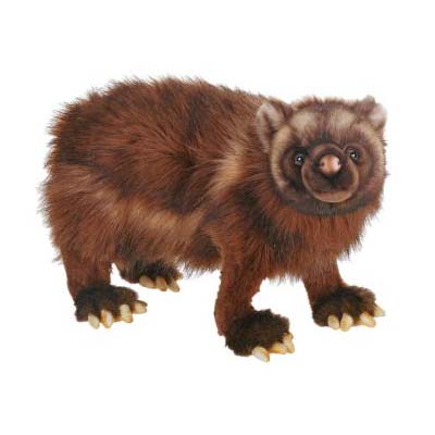 Life-size and realistic plush animals.  5214 - WOLVERINE 19''L