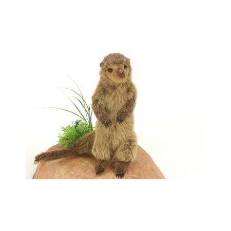 Life-size and realistic plush animals.  5538 - DWARF MONGOOSE 15.3"L (SP)