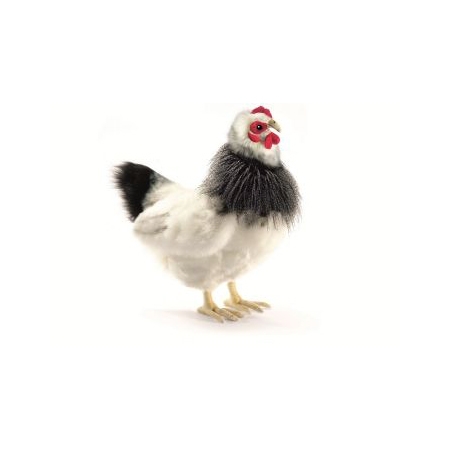 Life-size and realistic plush animals.  5620 - FRENCH HEN BLK/WHT 12''