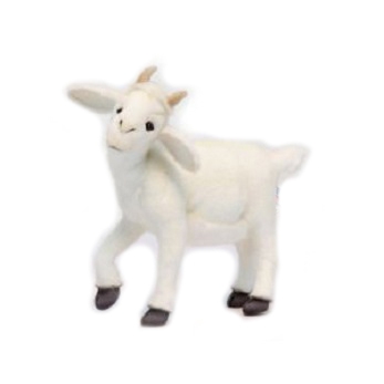 Life-size and realistic plush animals.  6185 - BABY WHITE GOAT 14.5''L