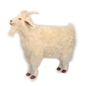 Life-size and realistic plush animals.  6186 - CASHMERE GOAT 40"L