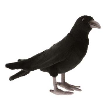 Life-size and realistic plush animals.  6266 - BLACK CROW 12.1"L