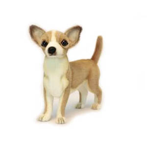 Life-size and realistic plush animals.  6295 - CHIHUAHUA PUPPY 11''L