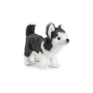 Life-size and realistic plush animals.  6970 - HUSKY PUP STANDING 11"L