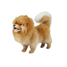 Life-size and realistic plush animals.  7018 - POMERANIAN DOG 14"L