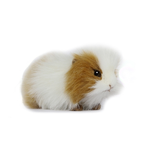 Life-size and realistic plush animals.  7319 - GUINEA PIG 8"L BRWN/WHITE