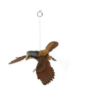 Life-size and realistic plush animals.  7681 - ARCHAEOPTERYX 14"H