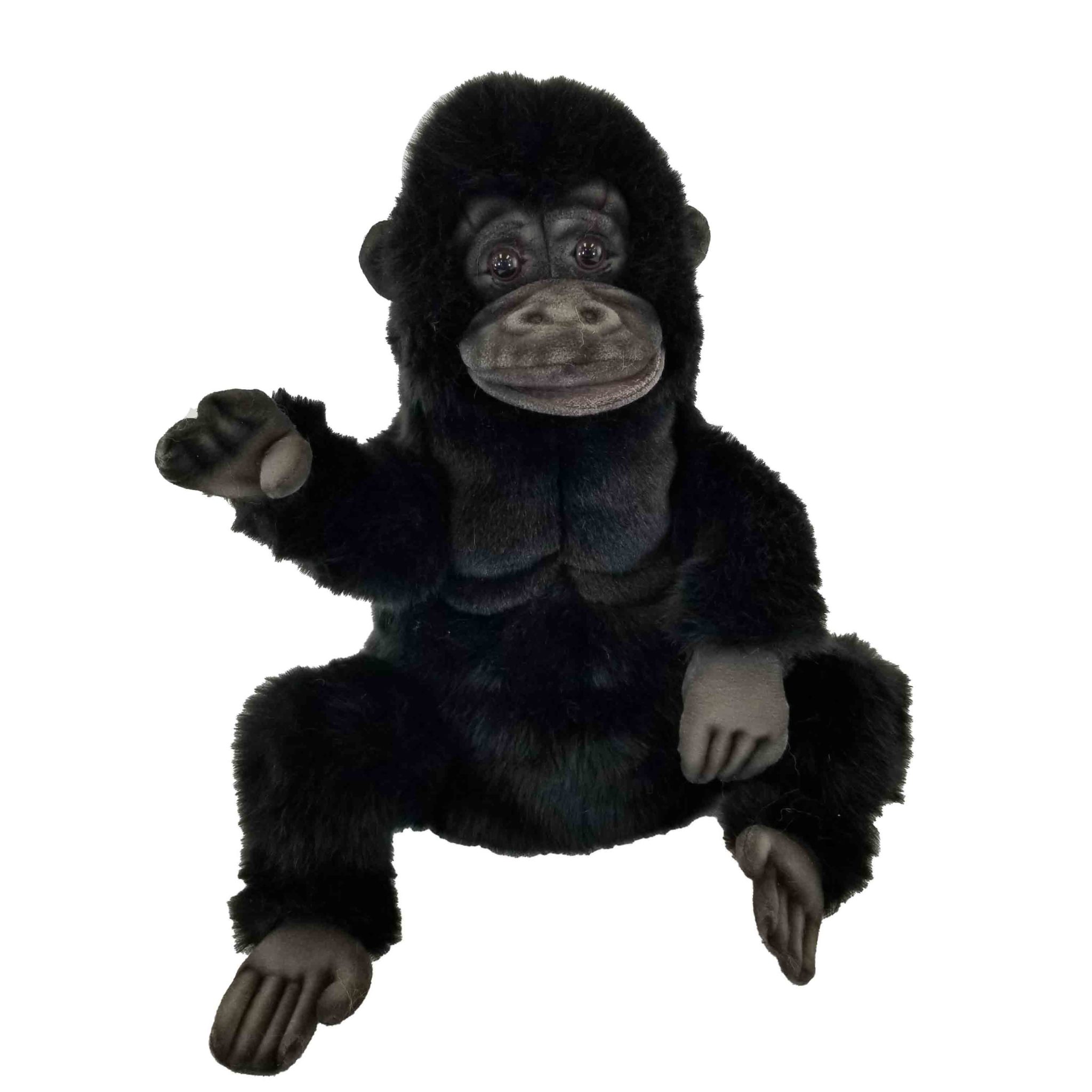 gorilla cuddly toy