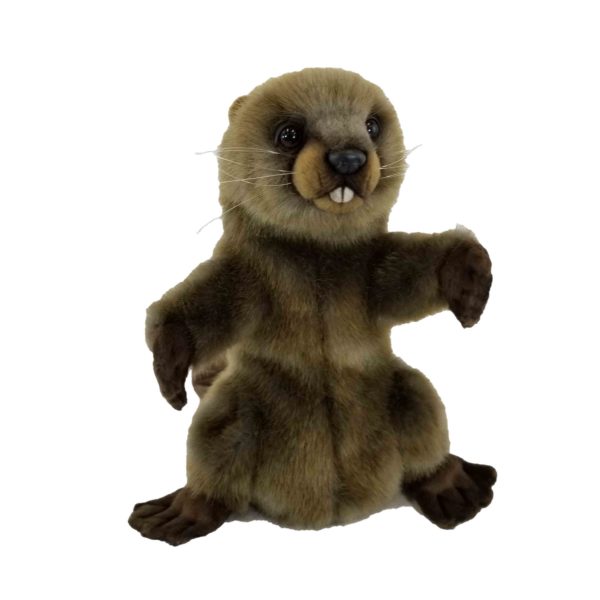 Life-size and realistic plush animals.  7959 - BEAVER PUPPET   15.2"L