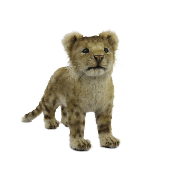 Life-size and realistic plush animals.  7893 - LION CUB STANDING 15.75"L