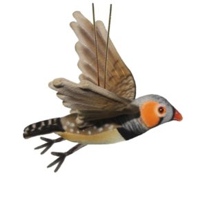 zebra finch plush